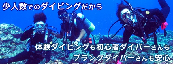 syouninzu-diving